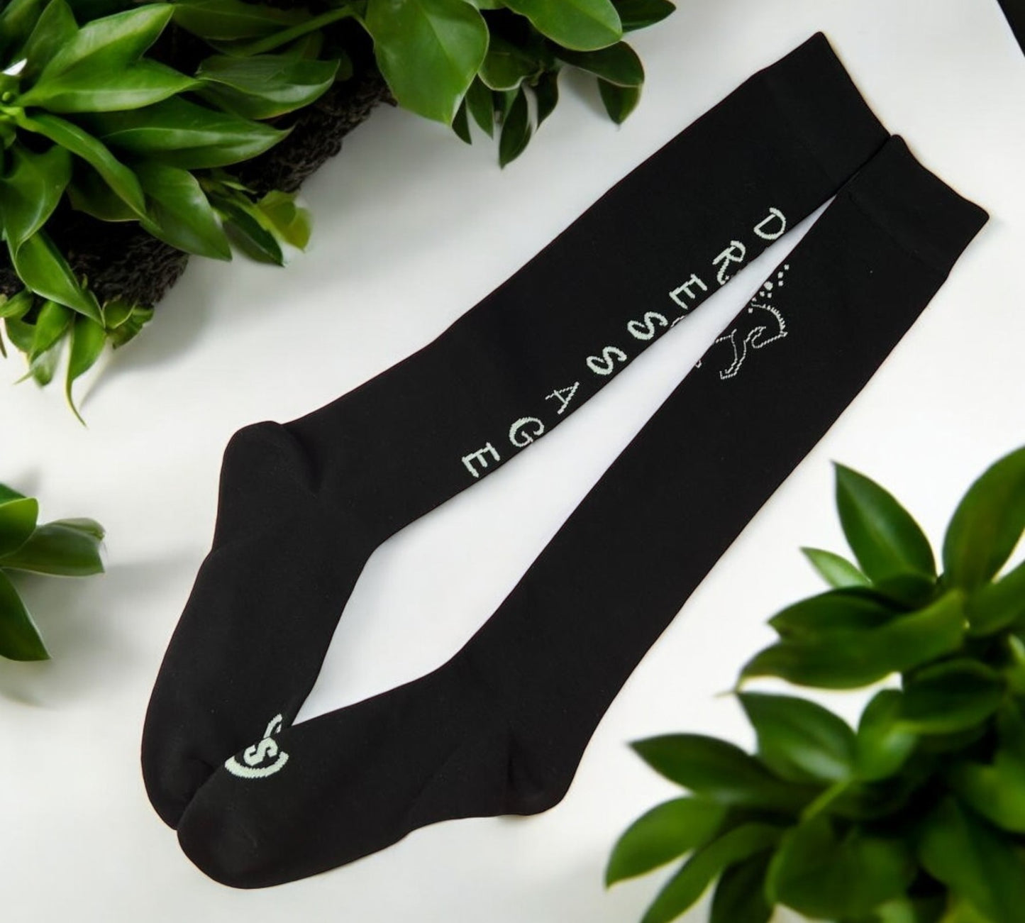 Dressage - Chaussettes aux genoux